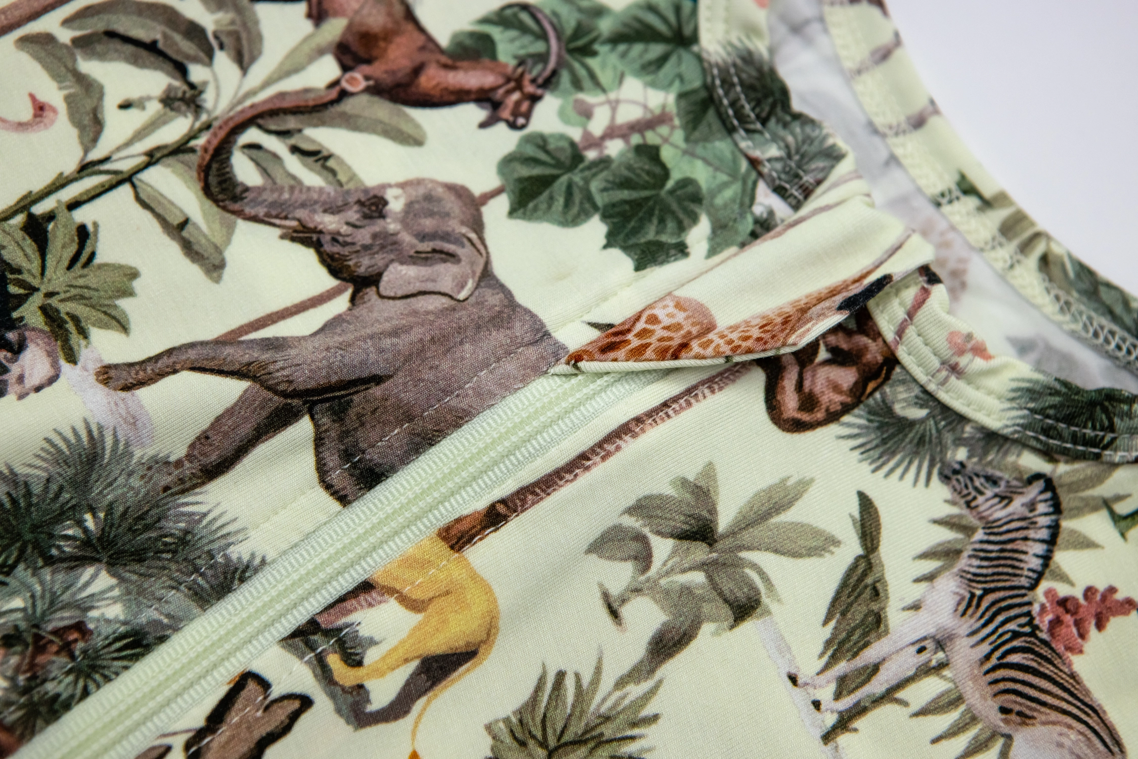 Safari