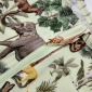 Safari
